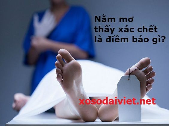 mơ thấy xác chết