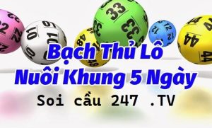 Nuôi lô khung bạch thủ 5 ngày là phương pháp đang được nhiều người chơi áp dụng