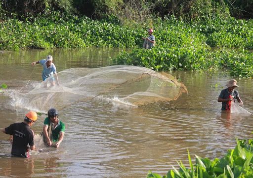 mơ thấy minh đi bắt cá