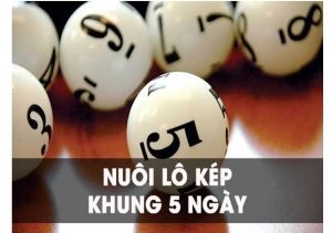 Anh em cần có sự tính toán kỹ lưỡng khi nuôi khung lô kép