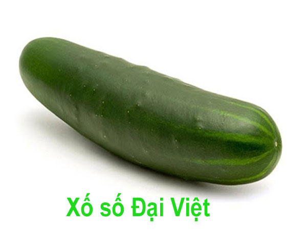 Mơ thấy dương vật có ý nghĩa điềm báo gì