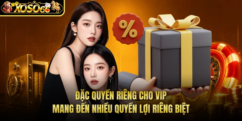 Đặc quyền riêng cho VIP mang đến nhiều quyền lợi riêng biệt