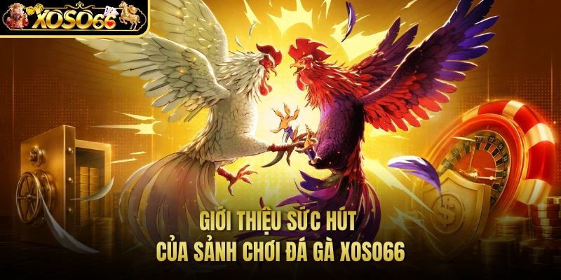 Giới thiệu sức hút của sảnh chơi đá gà XOSO66