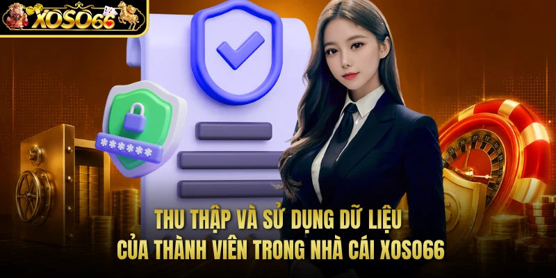 Thu thập và sử dụng dữ liệu của thành viên trong nhà cái XOSO66 